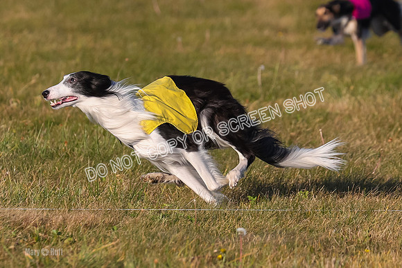 1) Prelim Open 2, Blazer Rocket-4736