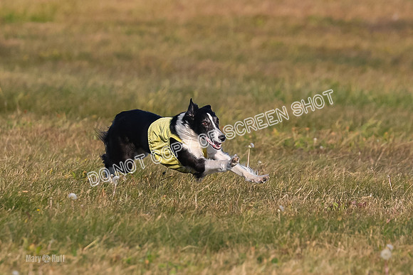 1) Prelim Open 3, Nara Starr-4763