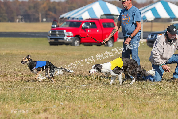 2) Finals Open 1, Blazer Foxy Rocket-6148