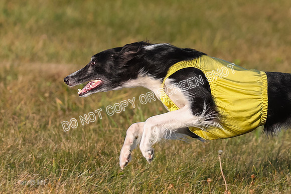 1) Prelim Open 3, Nara Starr-4788