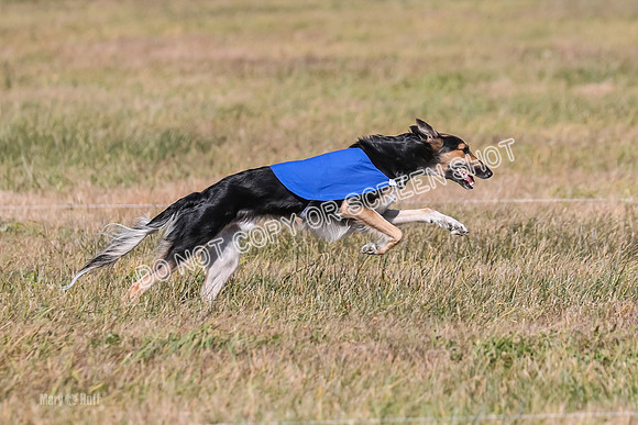 2) Finals Open 1, Blazer Foxy Rocket-6214