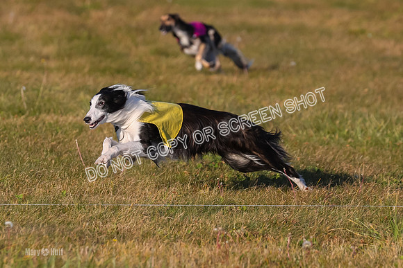 1) Prelim Open 2, Blazer Rocket-4734
