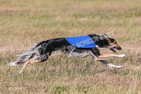 2) Finals Open 1, Blazer Foxy Rocket-6215