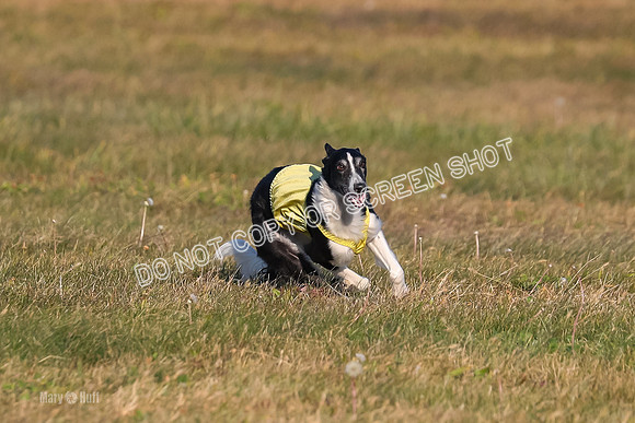 1) Prelim Open 3, Nara Starr-4764
