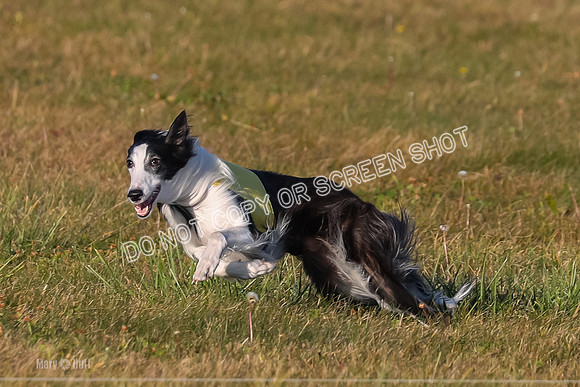 1) Prelim Open 2, Blazer Rocket-4731