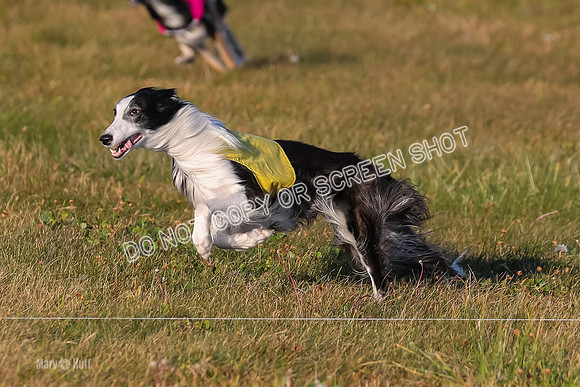 1) Prelim Open 2, Blazer Rocket-4733