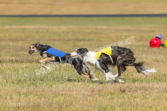 2) Finals Open 1, Blazer Foxy Rocket-6159