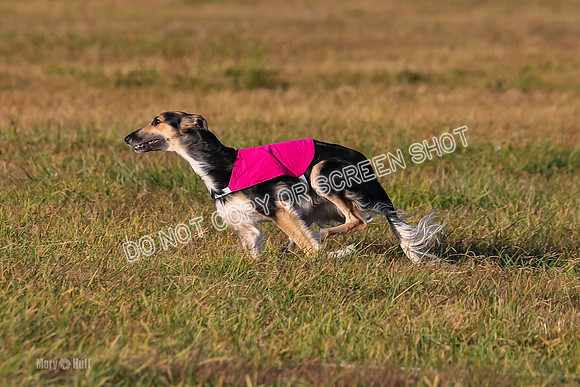 1) Prelim Open 2, Blazer Rocket-4746