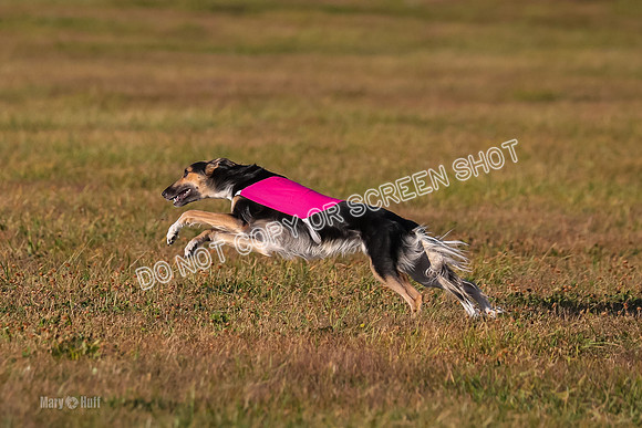 1) Prelim Open 2, Blazer Rocket-4750