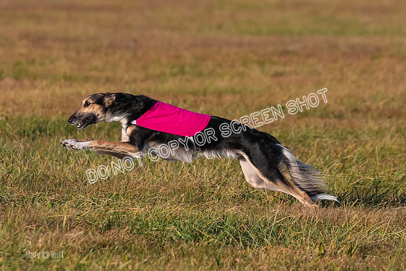 1) Prelim Open 2, Blazer Rocket-4744