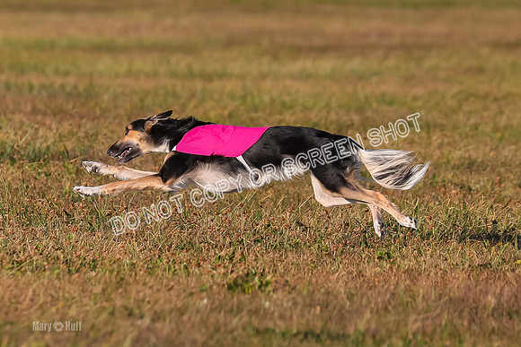 1) Prelim Open 2, Blazer Rocket-4751