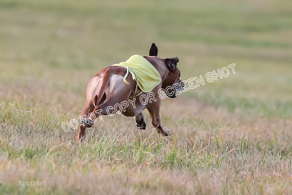 1) Prelim Fch 2, Remmy Jolene-8962