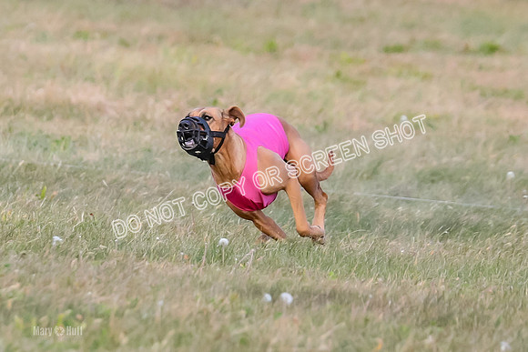 1) Prelim Fch 2, Remmy Jolene-8944