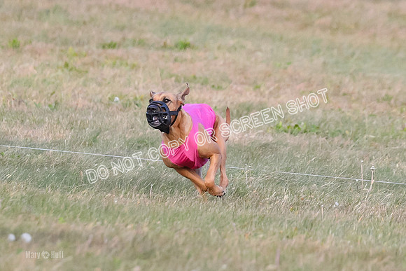1) Prelim Fch 2, Remmy Jolene-8940