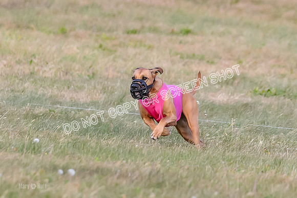 1) Prelim Fch 2, Remmy Jolene-8941