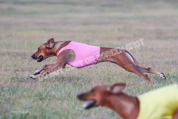 1) Prelim Open 1, Charlotte Spud-8881