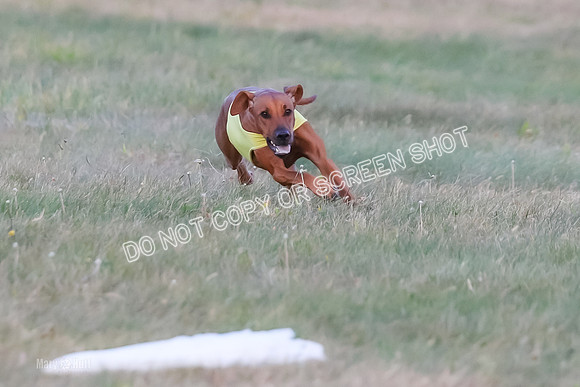 1) Prelim Open 1, Charlotte Spud-8865