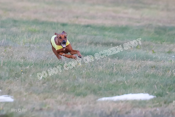 1) Prelim Open 1, Charlotte Spud-8864