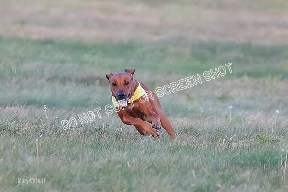1) Prelim Open 1, Charlotte Spud-8866