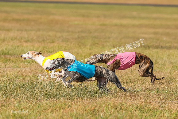 AE4I8359