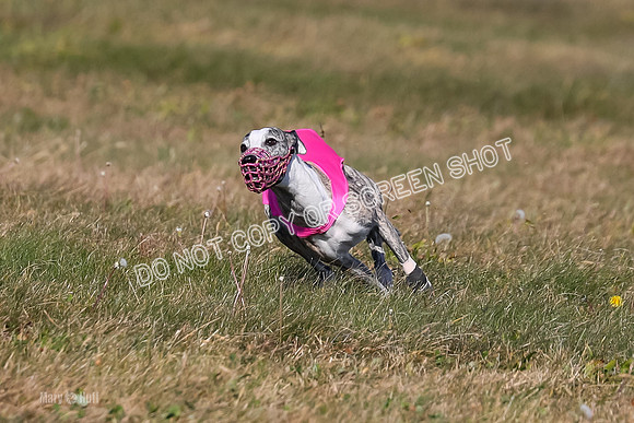 1) Prelim Fch 4 A, Rizzo Archer -5314
