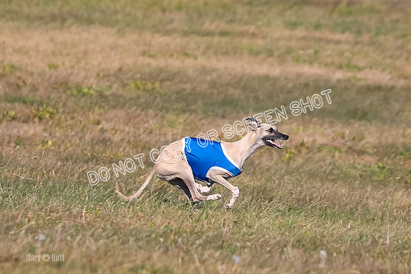 1) Prelim Fch 1 A, Titan Brag Harley-5200