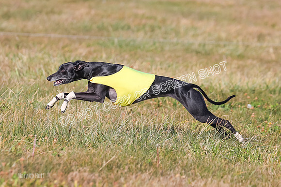 1) Prelim Fch 1 A, Titan Brag Harley-5238