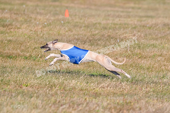 1) Prelim Fch 1 A, Titan Brag Harley-5223
