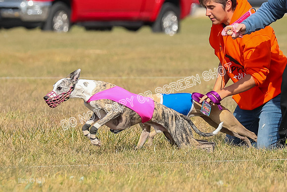 2) Finals Fch A 1, Little Bit Archer Harley-7111