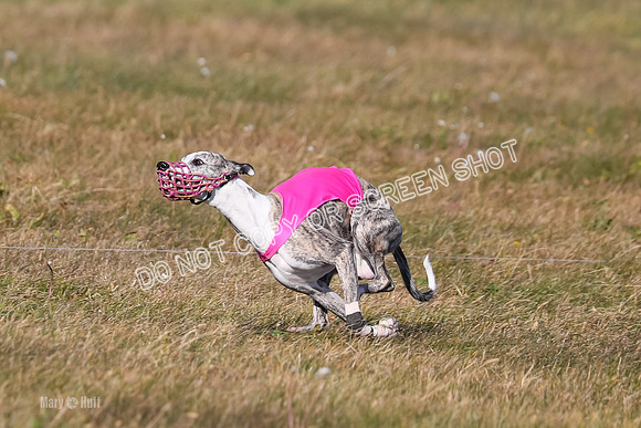 1) Prelim Fch 4 A, Rizzo Archer -5322