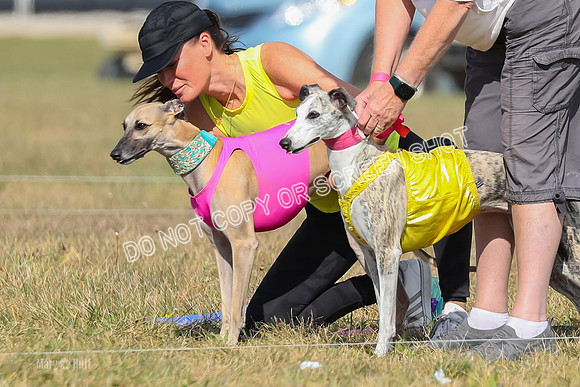 2) Finals Fch B 5, Roxie Justice-7768