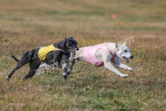 2) Finals Open 2, Hillary Zinger Rip Tide-6772
