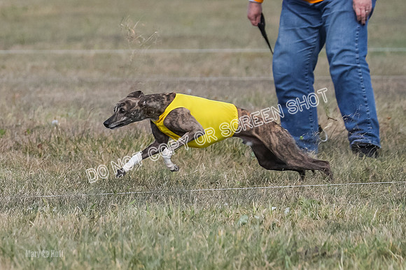 2) Finals Open 4, Maverick Janey Margot-6895