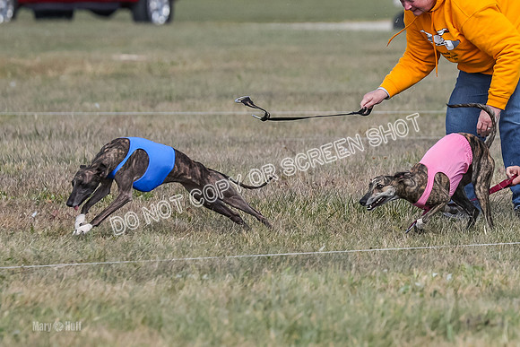 2) Finals Open 4, Maverick Janey Margot-6891