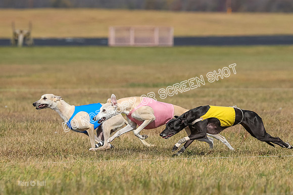 2) Finals Open 2, Hillary Zinger Rip Tide-6729
