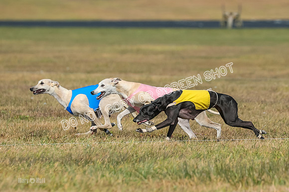 2) Finals Open 2, Hillary Zinger Rip Tide-6732