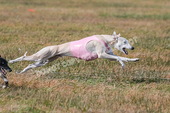 2) Finals Open 2, Hillary Zinger Rip Tide-6782