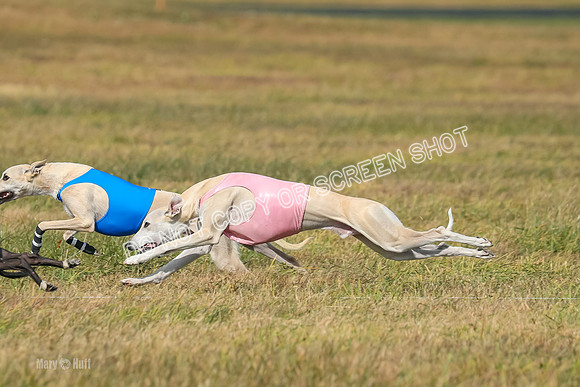 2) Finals Open 2, Hillary Zinger Rip Tide-6743