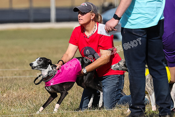 2) Finals Veteran 2, Jasmine Zen Daisy-7935
