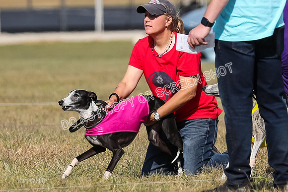 2) Finals Veteran 2, Jasmine Zen Daisy-7934