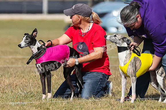 2) Finals Veteran 2, Jasmine Zen Daisy-7931