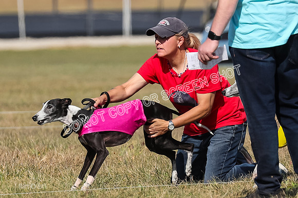 2) Finals Veteran 2, Jasmine Zen Daisy-7940
