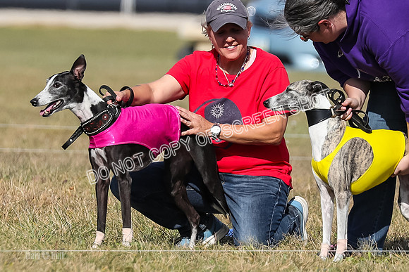 2) Finals Veteran 2, Jasmine Zen Daisy-7928
