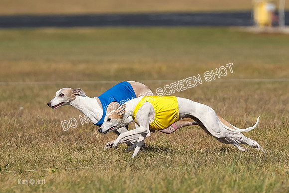 2) Finals Veteran 1, Bug Cheers Rasher-7867
