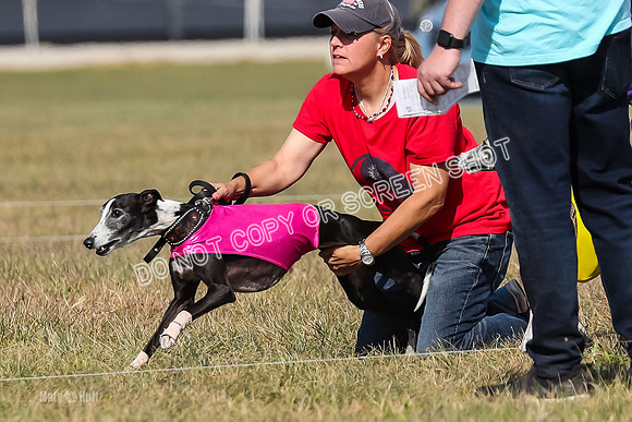 2) Finals Veteran 2, Jasmine Zen Daisy-7939