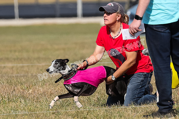 2) Finals Veteran 2, Jasmine Zen Daisy-7938