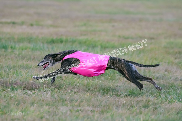 Prelim Open 1, Bullet Mayhem-8756