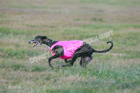 Prelim Open 1, Bullet Mayhem-8755