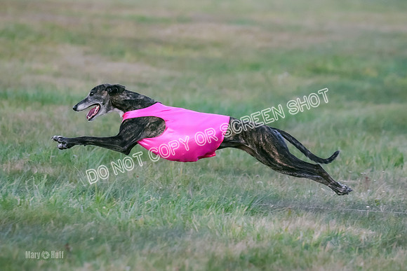 Prelim Open 1, Bullet Mayhem-8752