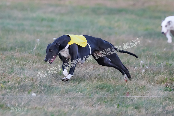 Prelim Fch 1, Summertime Alice-8770